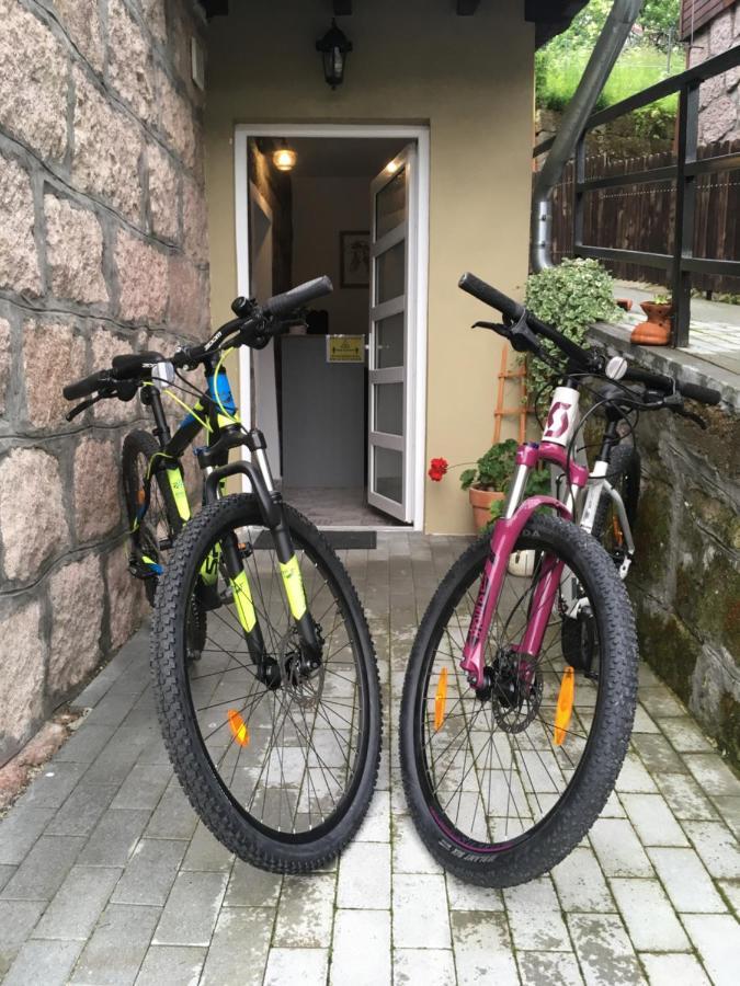 바일레 투슈나드 Casa Karola Haz B&B 외부 사진