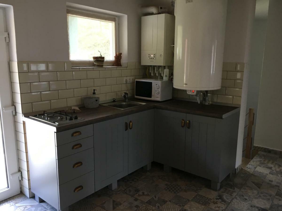 바일레 투슈나드 Casa Karola Haz B&B 외부 사진